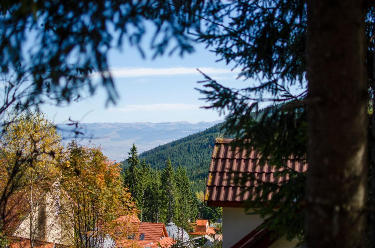 Orange House Villa Hargitafürdő Kültér fotó